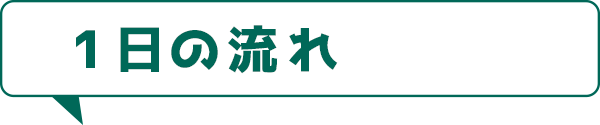 1日の流れ