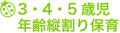 3・4・5歳児年齢縦割り保育